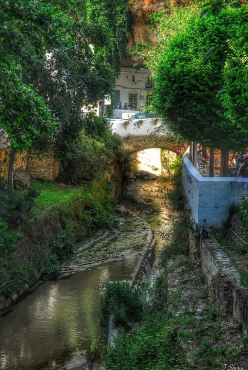 Casa Cueva Un Rincon En La Roca Villa Setenil De Las Bodegas Bagian luar foto